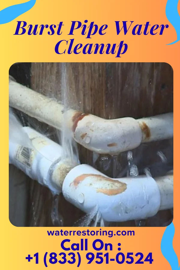 Burst Pipe Water Cleanup in Elk Garden, WV