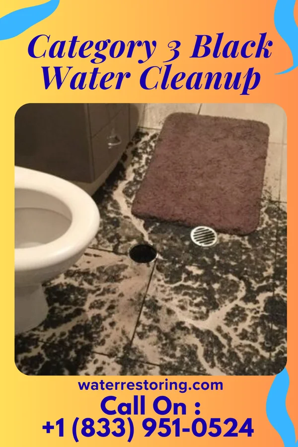 Category 3 Black Water Cleanup in Elk Garden, WV