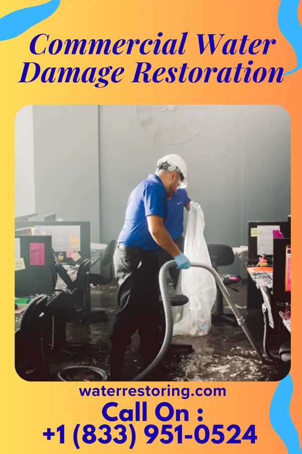 Commercial Water Damage Restoration in Elk Garden, WV