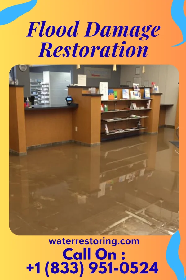 Flood Damage Restoration in Elk Garden, WV